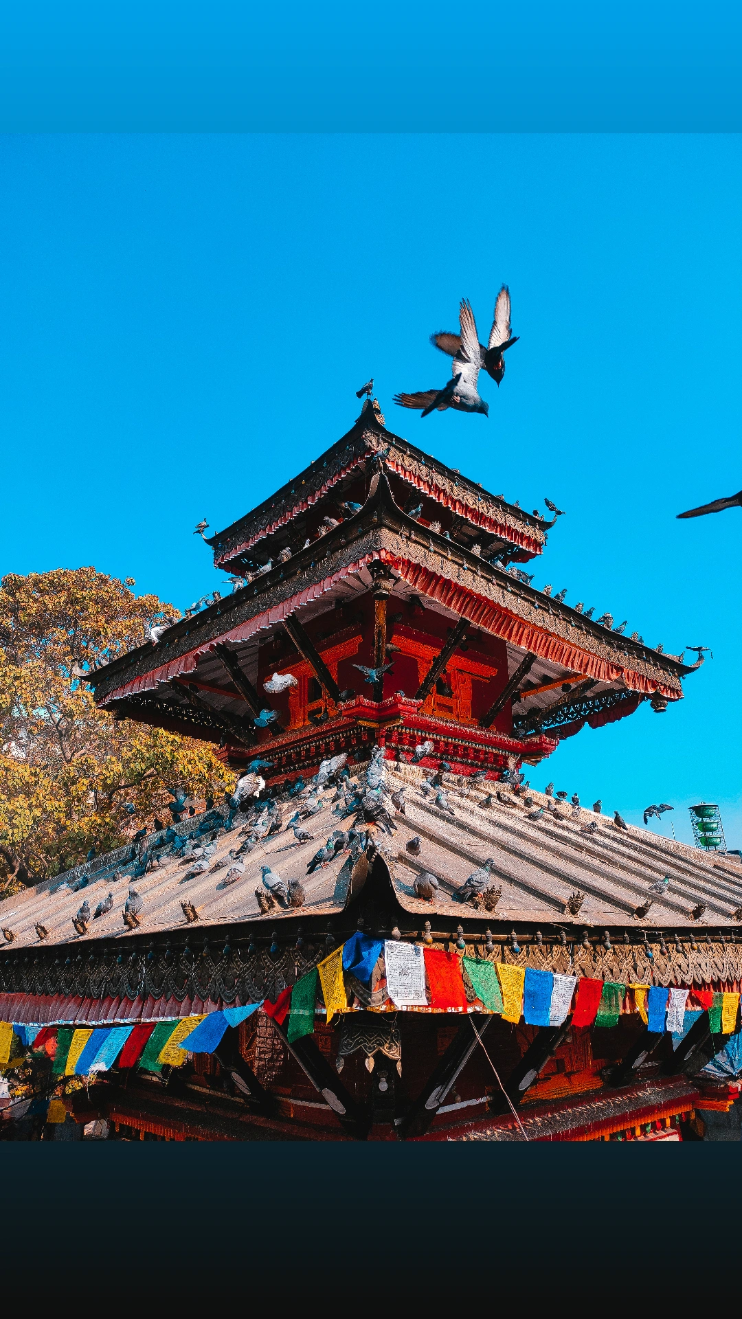 Pagoda temple with prayer flags and pigeons in flight